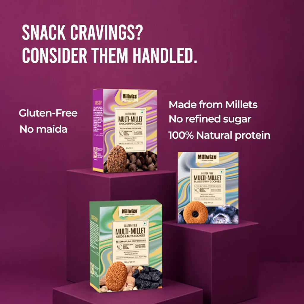 Multi Millet Gluten- Free Combo - Blueberry +  Seeds & Nuts + Choco Chips Cookies